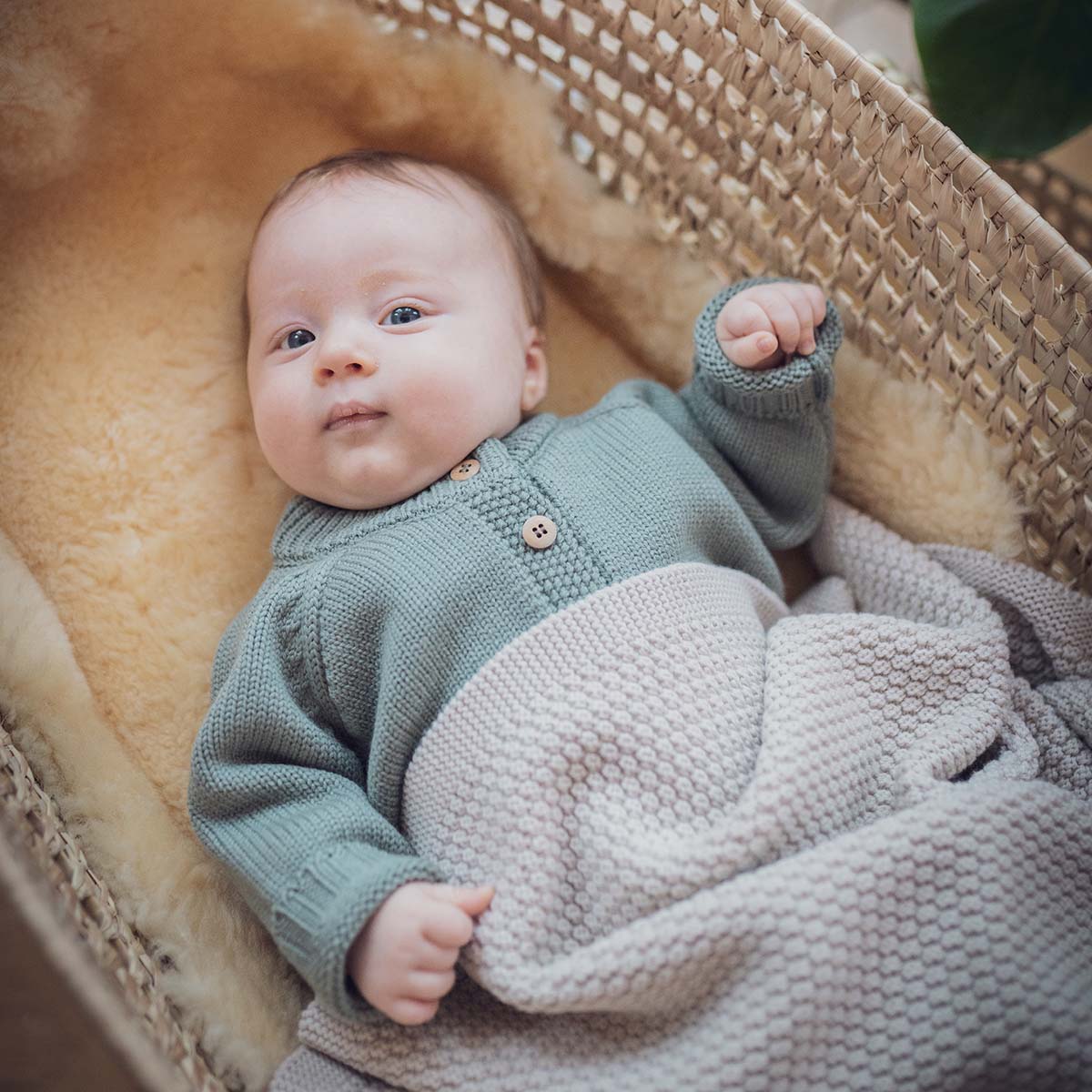THE WOOLLY BLANKET - sand