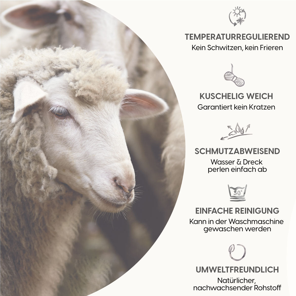 KLEINES KUSCHEL-SET - sand