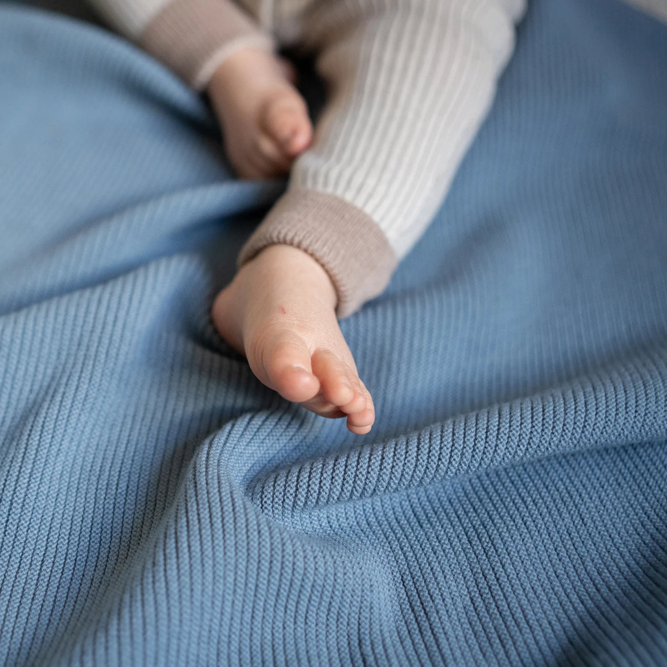 THE WOOLLY RIB BLANKET - rose