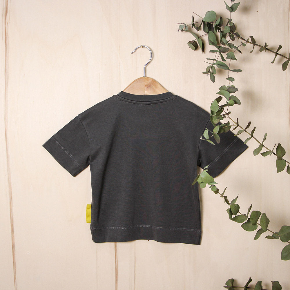 the essential t-shirt - volcanic ash